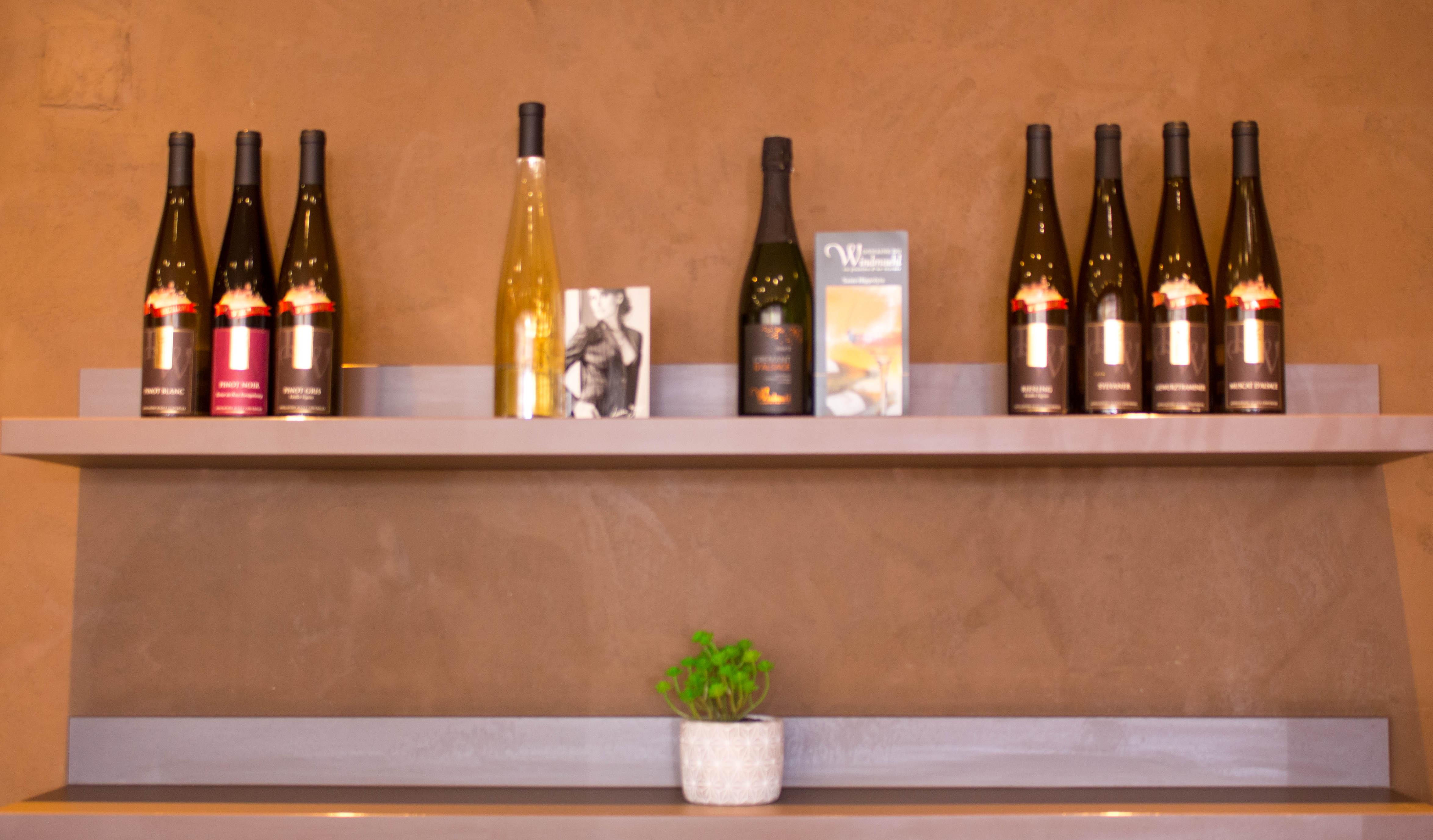 Ibis Colmar Est - Hotel Restaurant En Alsace Horbourg-Wihr Luaran gambar