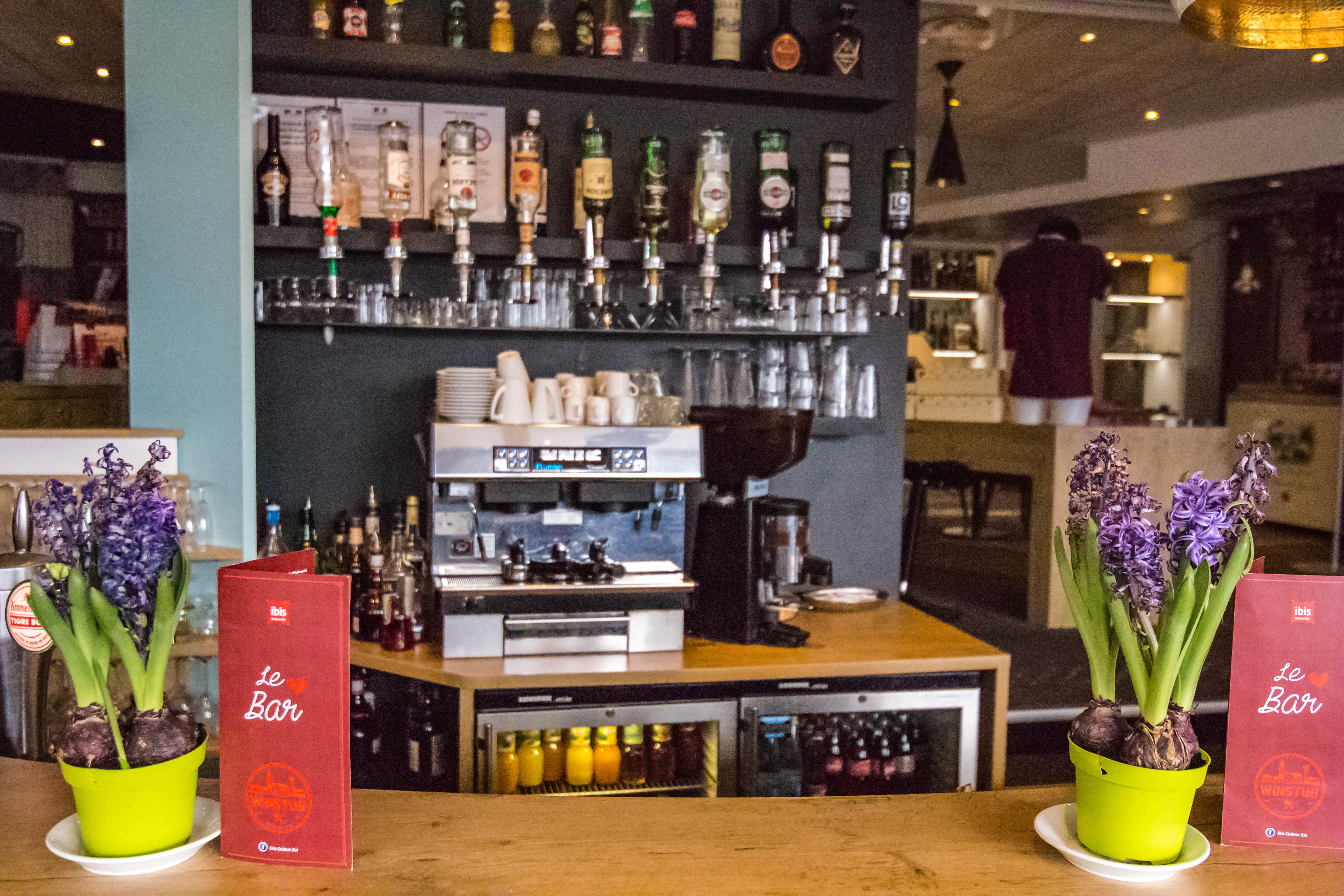 Ibis Colmar Est - Hotel Restaurant En Alsace Horbourg-Wihr Luaran gambar