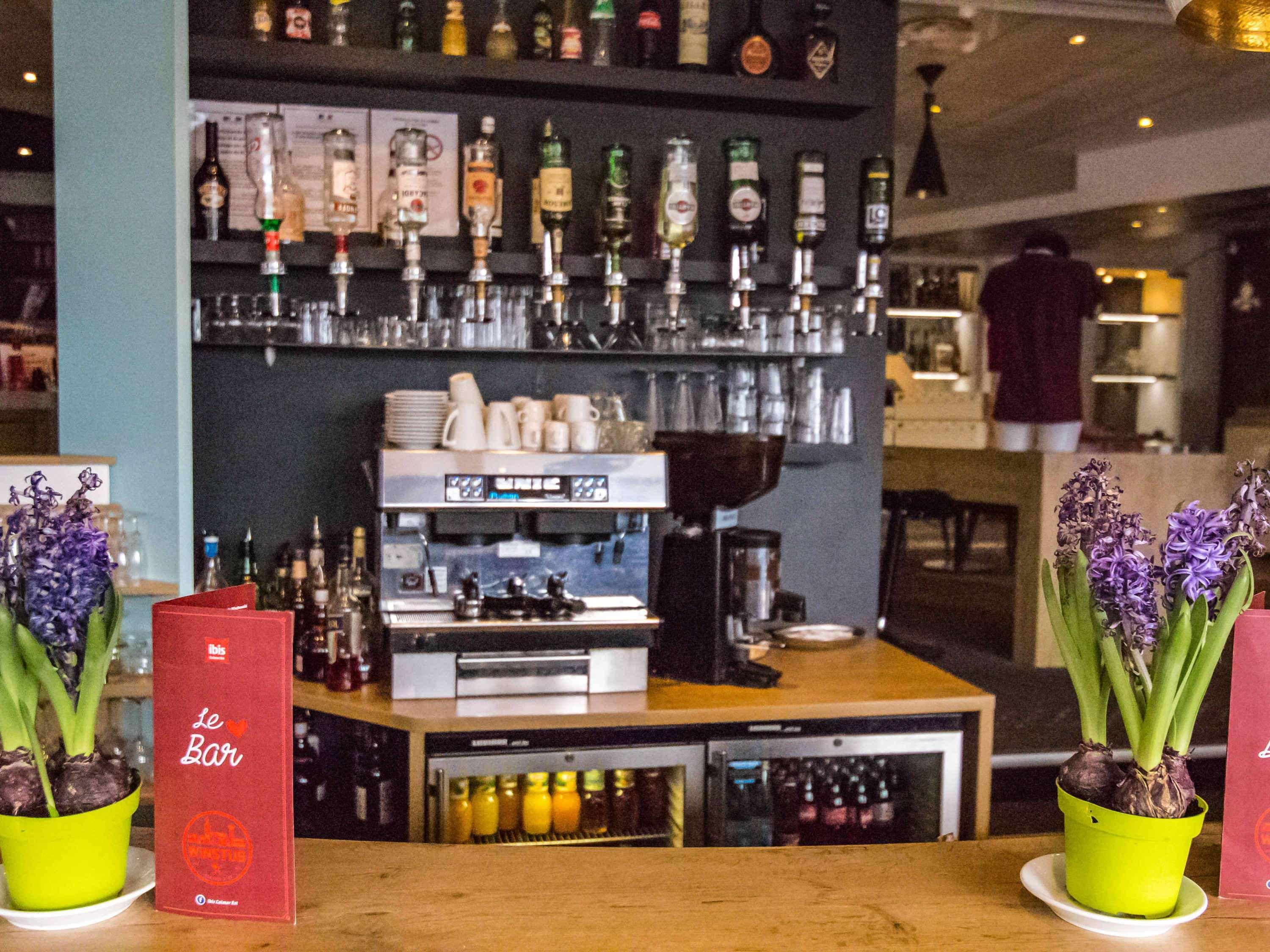 Ibis Colmar Est - Hotel Restaurant En Alsace Horbourg-Wihr Luaran gambar